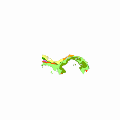 Export Image