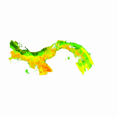 Export Image